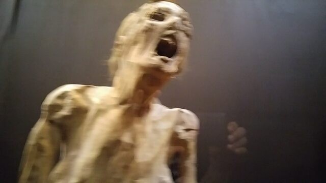 The Mummies of Guanajuato
#museum #guanajuato #mummy #rip #disturbed #eerie